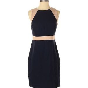 JCrew Gorgeous Dress Like New!